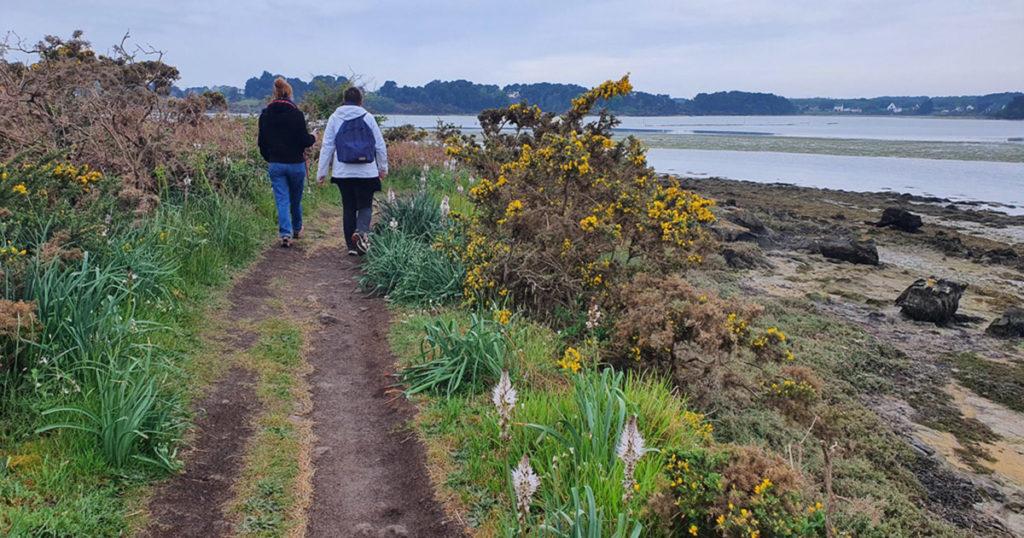 randonneuses sur le sentier côtier de la ria d'Étel en hiver