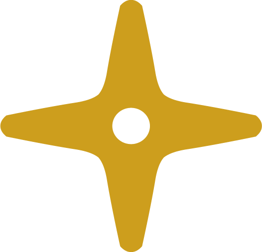 pictogramme étoile du logo Chemins détournés
