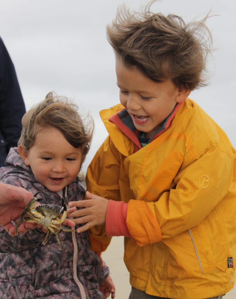 émerveillement des enfants devant la pêche d'un crabe