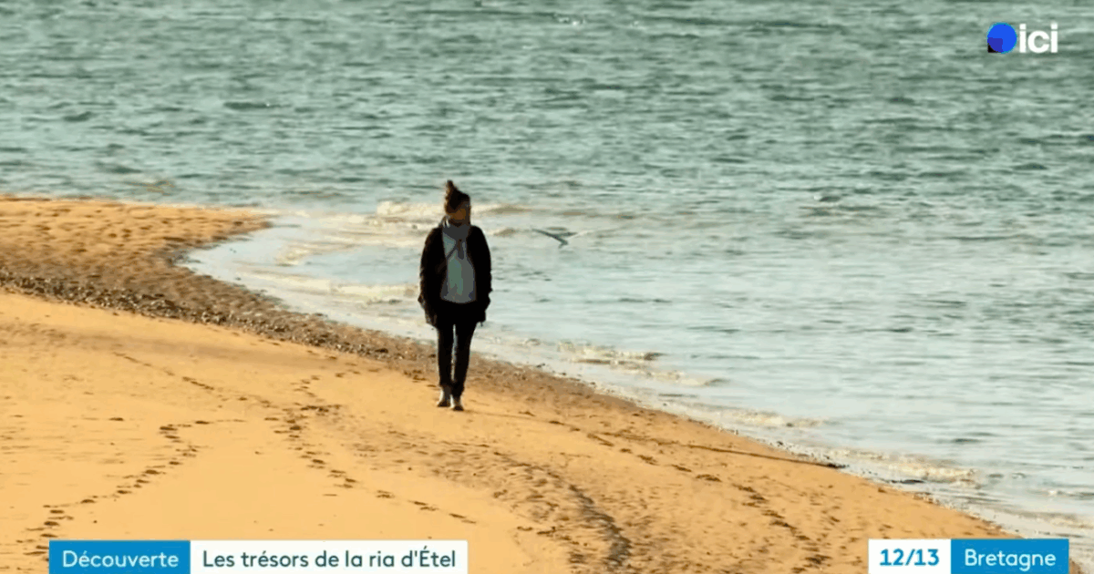photo d'introduction du reportage tv de france 3 bretagne