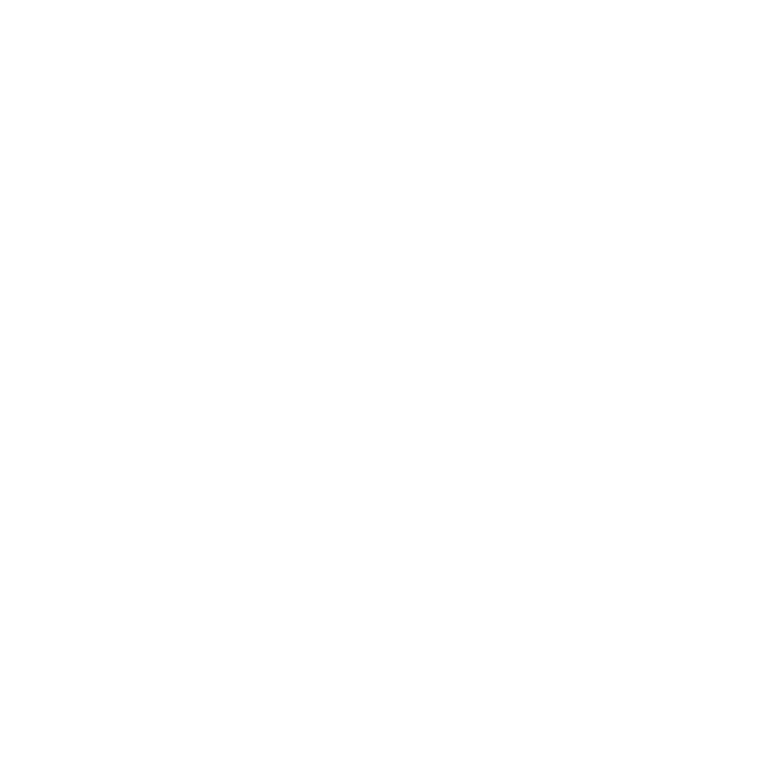 logo instagram