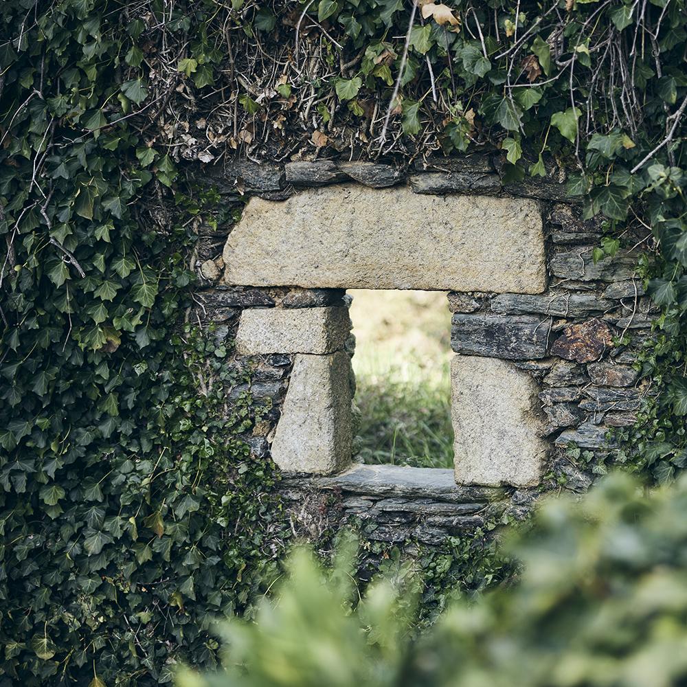 photo dévoilant un écrin de verdure à travers un mur de pierre