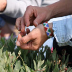 cueillette de plantes du littoral avant de participer à l'atelier cuisine en teambuilding